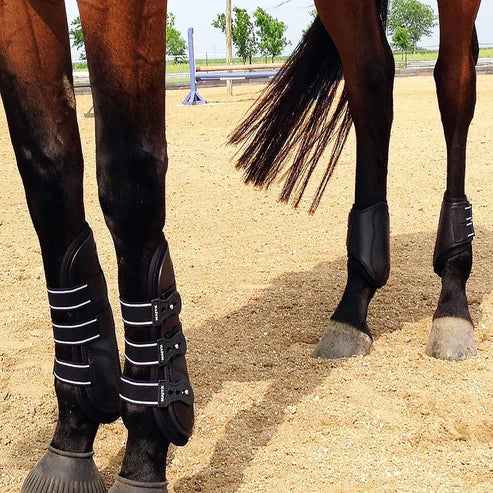 Front legs of a horse wearing Majyk Equipe Boyd Martin leather tendon boots on sandy footing
