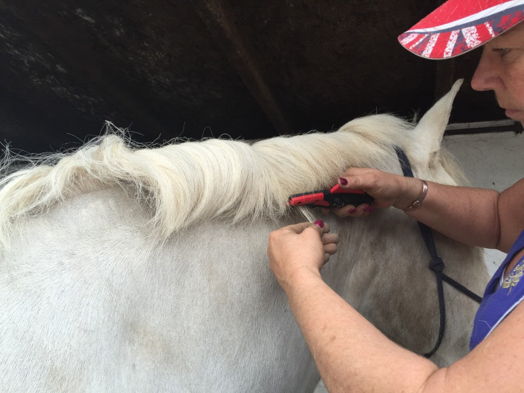 Side view of a woman using the SoloGroom Solocomb on a white horse's mane