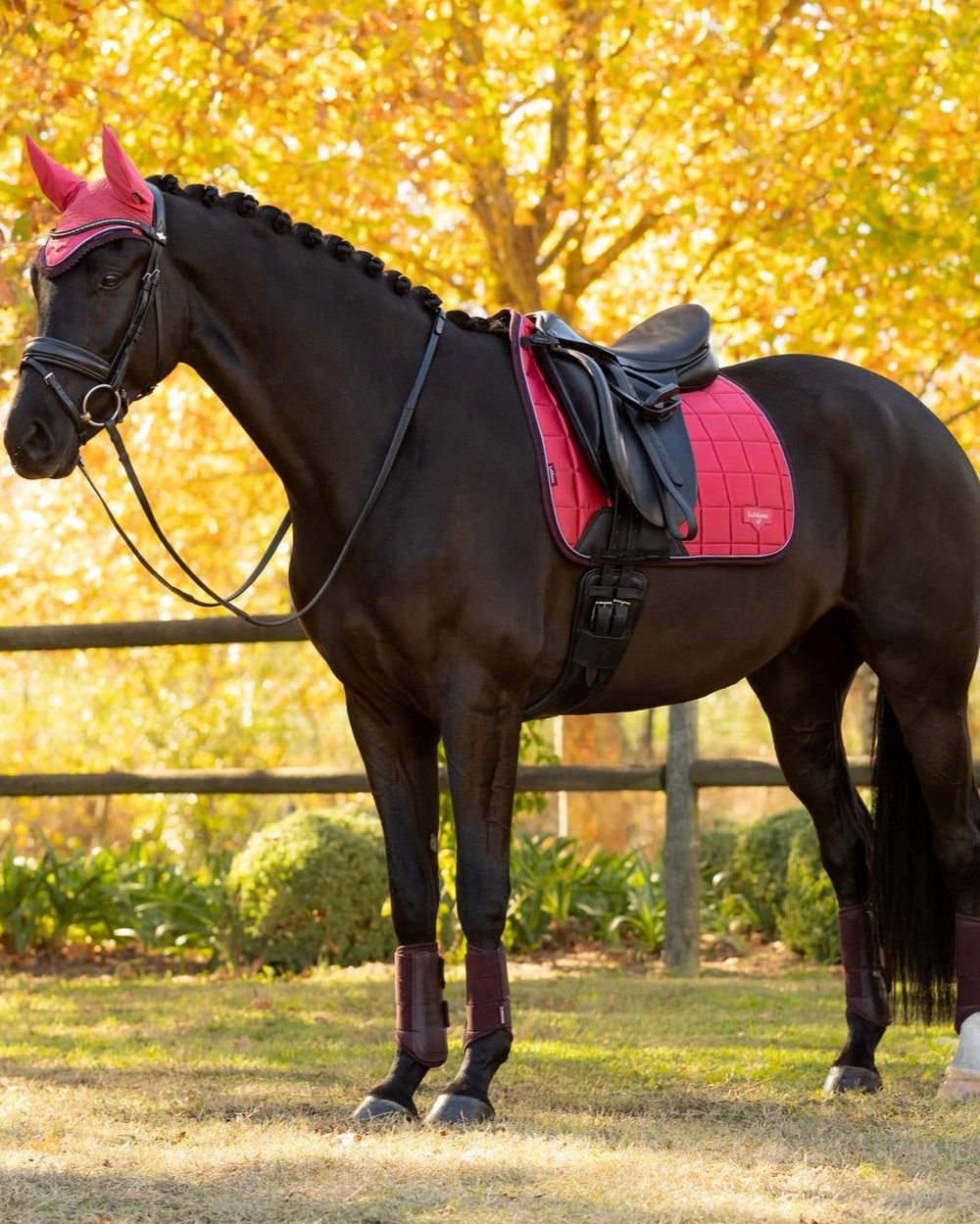 Side view of a dark colored horse wearing the cranberry LeMieux Classic Fly Hood while standing outside