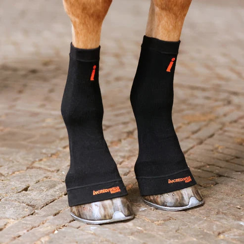 Front view of a horse wearing a pair of black Incrediwear Circulation Hoof Socks on a plain background