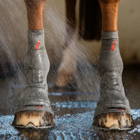 Front view of a horse wearing a pair of grey Incrediwear Circulation Hoof Socks while being hosed down