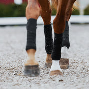 Front view of a horse trotting while wearing the Incrediwear Circulation Exercise Bandages in an outdoor arena