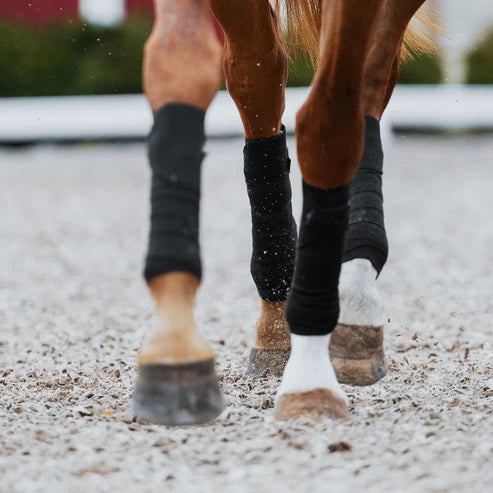 Front view of a horse trotting while wearing the Incrediwear Circulation Exercise Bandages in an outdoor arena