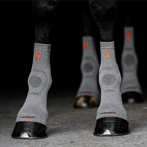 Front view of a horse wearing grey Incrediwear Circulation Hoof Socks on all four feet on a black background