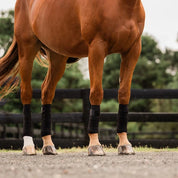 Front view of a chestnut horse wearing black Incrediwear Circulation Exercise Bandages on all four legs while standing on a gravel path