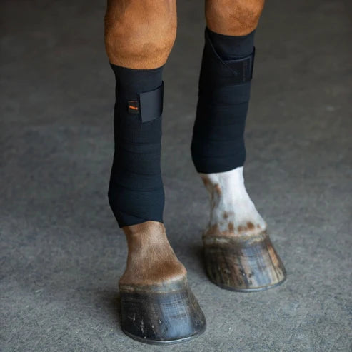 Close-up front view of a horse wearing a pair of black Incrediwear Circulation Exercise Bandages