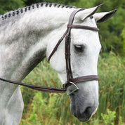 Side view of a gray horse wearing the Red Barn Indio Bridle while standing outside in a green pasture