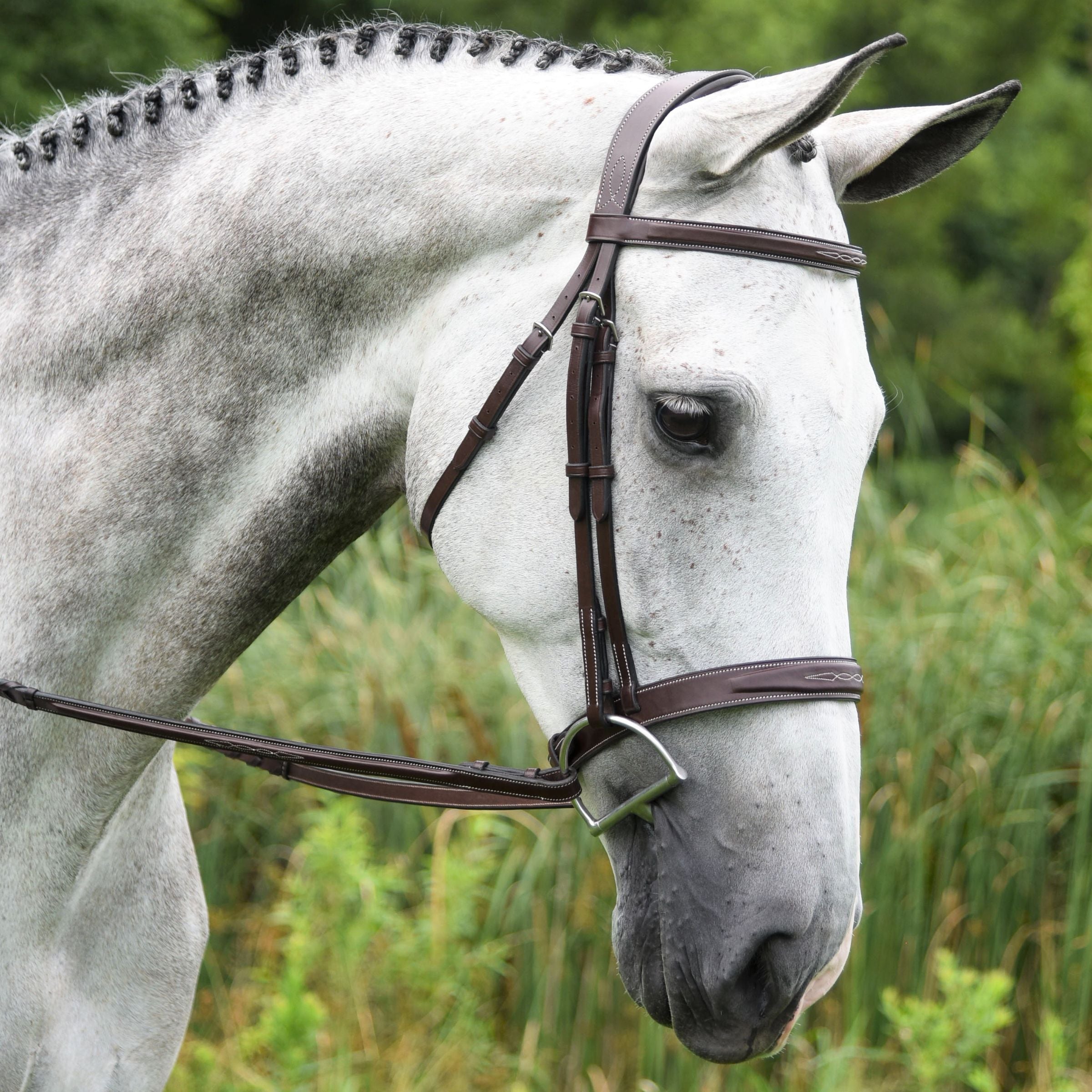 Side view of a gray horse wearing the Red Barn Indio Bridle while standing outside in a green pasture