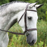 Red Barn Indio Bridle