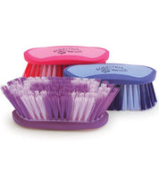 View of 3 Equestria Sport Dandy Brush in assorted colors on a white background