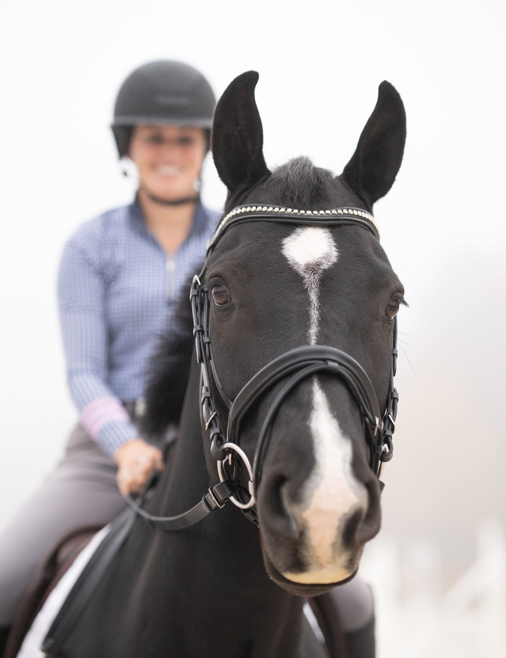 Front view of a black horse wearing the Black Oak Magnolia Bridle while a rider sits on its back