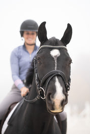 Front view of a black horse wearing the Black Oak Magnolia Bridle while a rider sits on its back