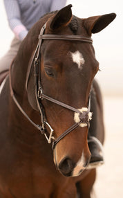 Close-up front view of a horse wearing the Black Oak Cedar Figure 8 Bridle