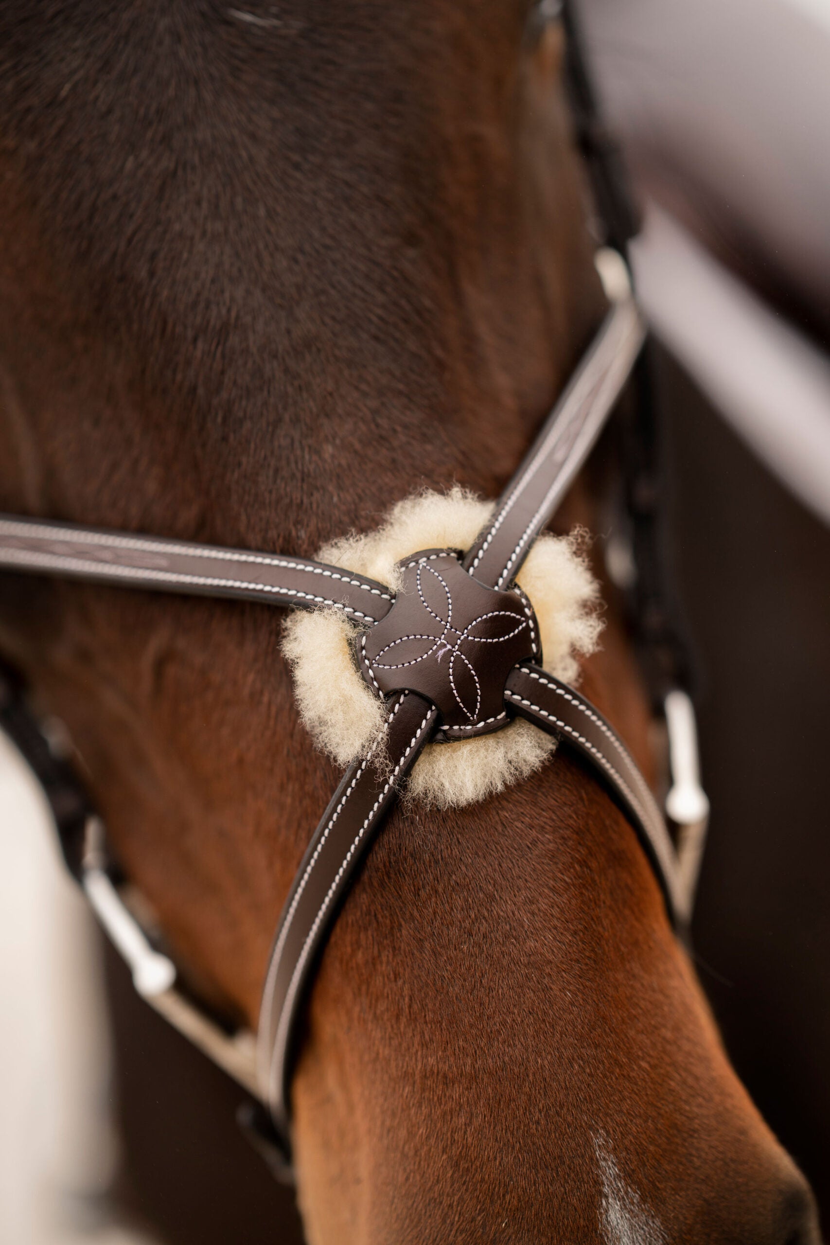 Close-up view of the Figure 8 on the Black Oak Cedar Figure 8 Bridle