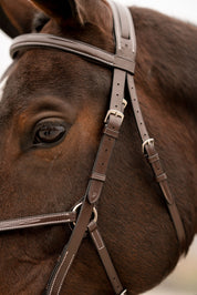 Close-up view of a horse wearing the Black Oak Cedar Figure 8 Bridle