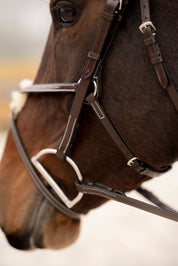 Close-up view of a horse wearing the Black Oak Cedar Figure 8 Bridle