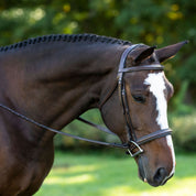 Side view of a horse wearing the Black Oak Laurel Hunter Bridle while standing outside