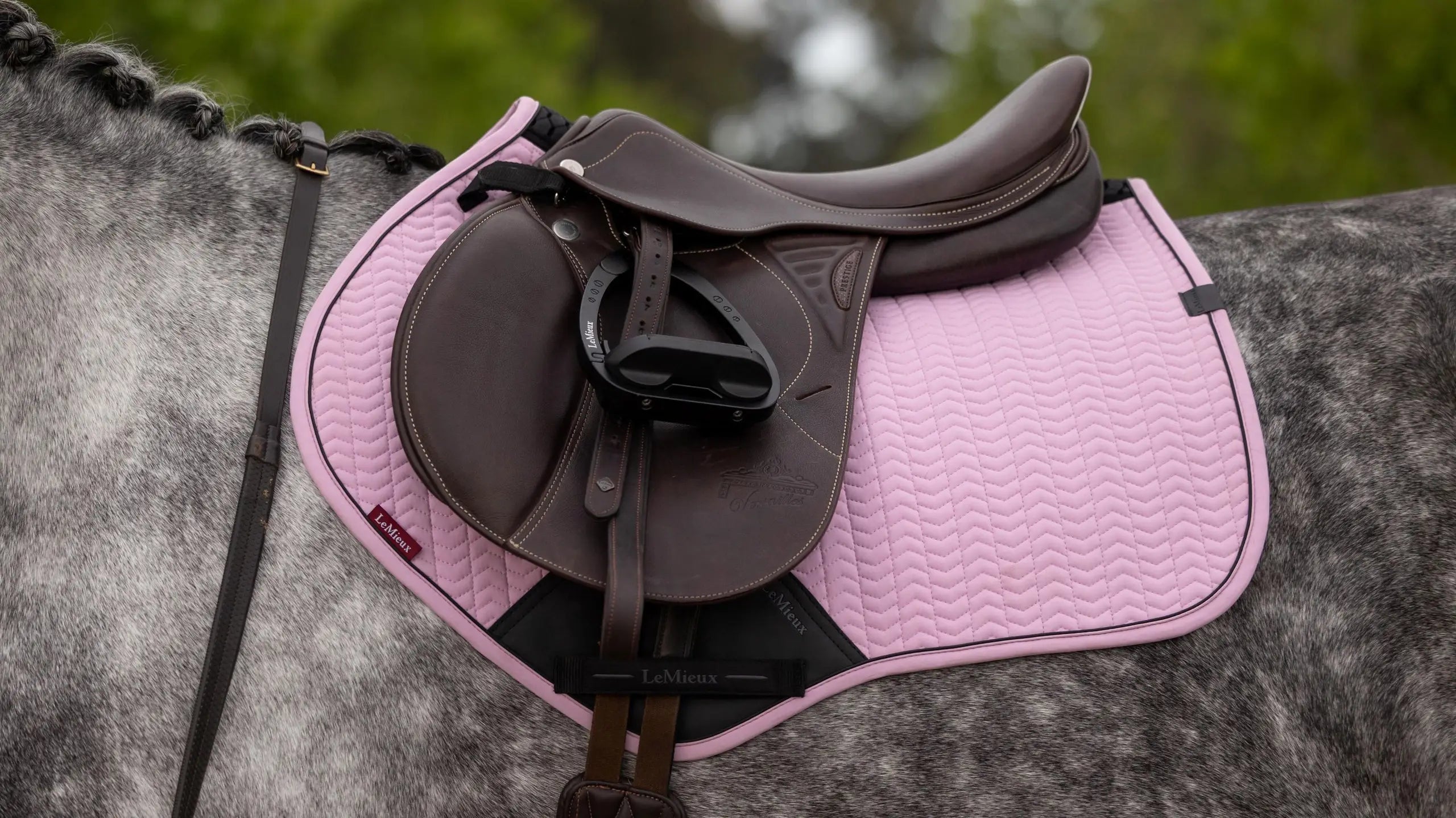 Close up of a gray horse wearing the LeMieux Essence Close Contact Square in pink under a brown saddle