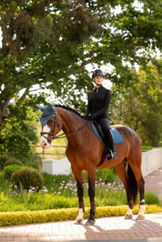 Woman riding a bay horse wearing the LeMieux Essence Close Contact Square in blue-green