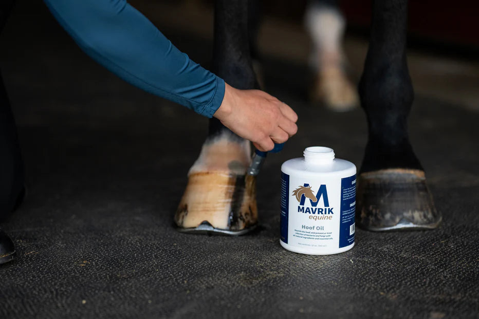 View of a person applying Mavrik Hoof Oil to a horse's front hooves with a 32 oz bottle on the ground