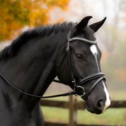 Side view of a black horse wearing the Black Oak Magnolia Bridle while standing outside