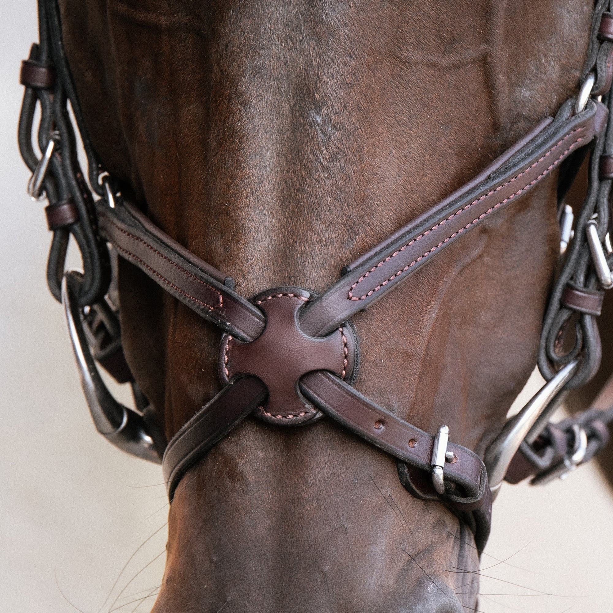 Close-up front view of the figure 8 on the Nunn Finer Figure 8 Event Bridle worn by a horse