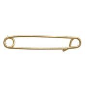View of the gold Perri's Stock Tie Pin on a white background