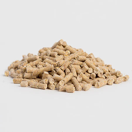 View of a small pile of Horse Guard Vitamin & Mineral Supplement pellets on a white background
