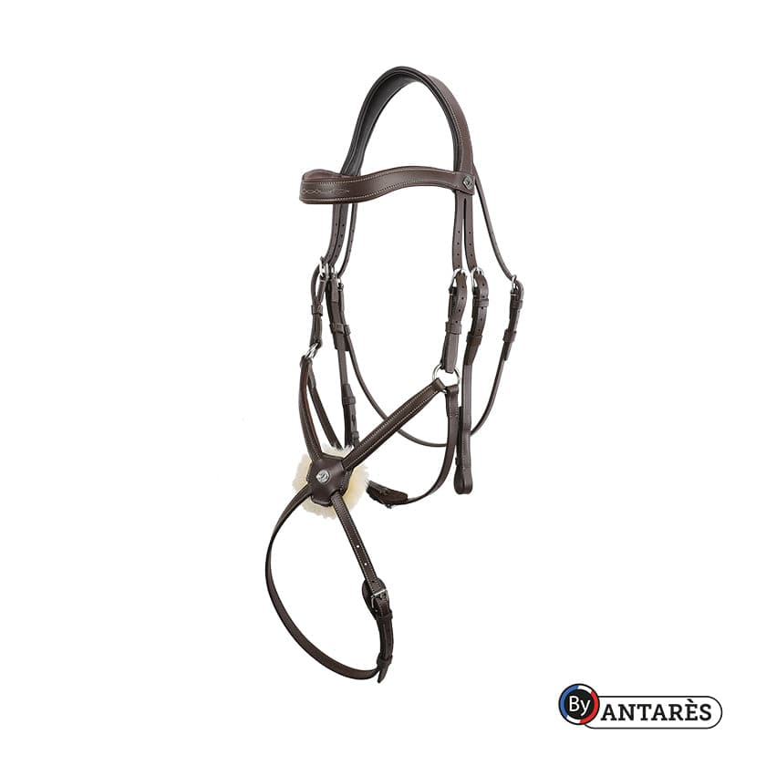 Antares Figure 8 Noseband Bridle