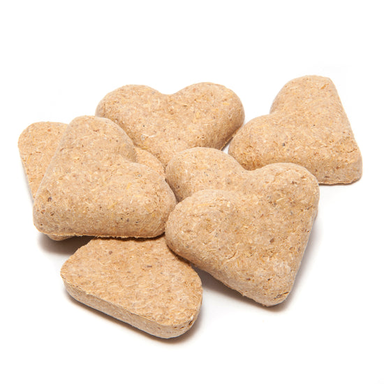 Close up view of the Nutrigood Senior Snax Horse Treats on a white background
