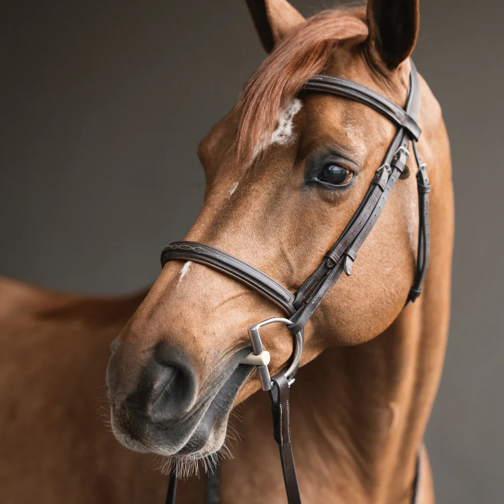 Angled front view of a chestnut horse wearing a brown bridle and with a Herm Sprenger Duo D-Ring Bit 16mm in its mouth on a plain background