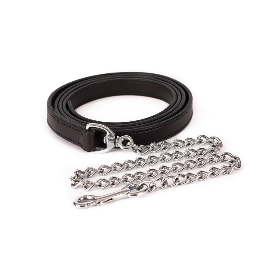 View of the Havana Perri's Showmanship Lead on a white background