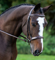 KL Select Tuscany Bridle