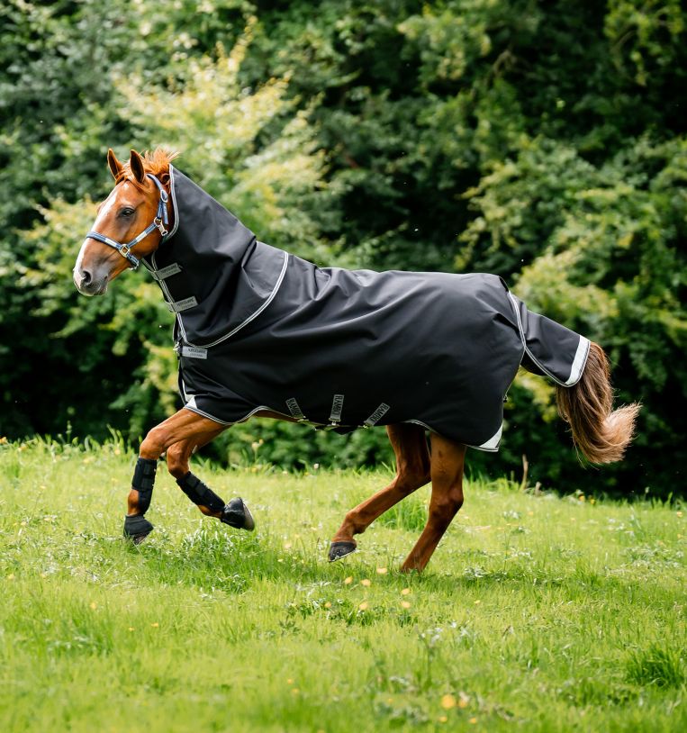 Side view of a chestnut horse running in a pasture while wearing the black Horseware Rambo Supreme 1680D Turnout Hood 0g and coordinating turnout rug