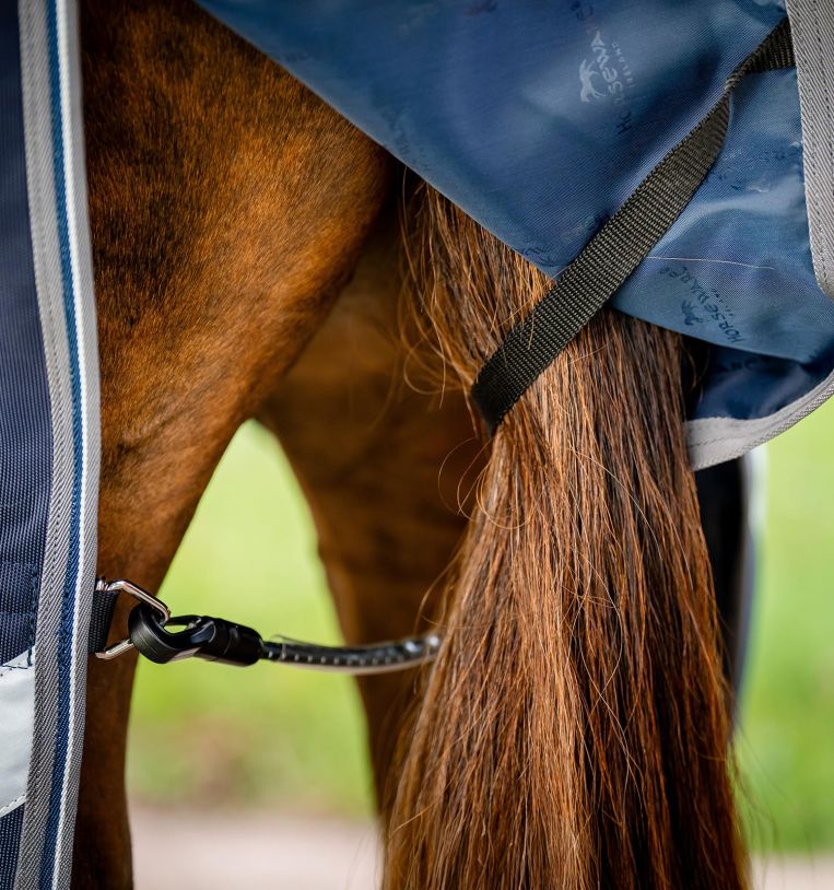 Close-up view of the hind leg straps on the navy Horseware Rambo 1680D Turnout 100g