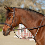 Side view of a bay horse wearing the brown Equinavia Valkyrie Wide Noseband Hunter Bridle with Laced Reins while standing in a jump arena