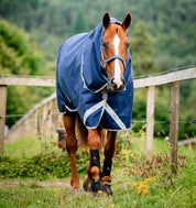 Front view of a sorrel horse wearing the navy Horseware Amigo 1200D Plus Turnout 250g while walking in a grassy paddock
