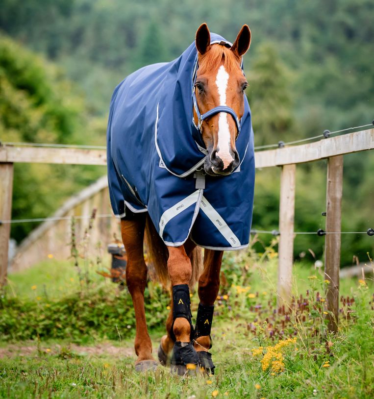 Front view of a sorrel horse wearing the navy Horseware Amigo 1200D Plus Turnout 250g while walking in a grassy paddock