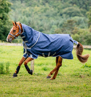 Side view of a sorrel horse wearing the navy Horseware Amigo 1200D Plus Turnout 250g while running in a grassy paddock