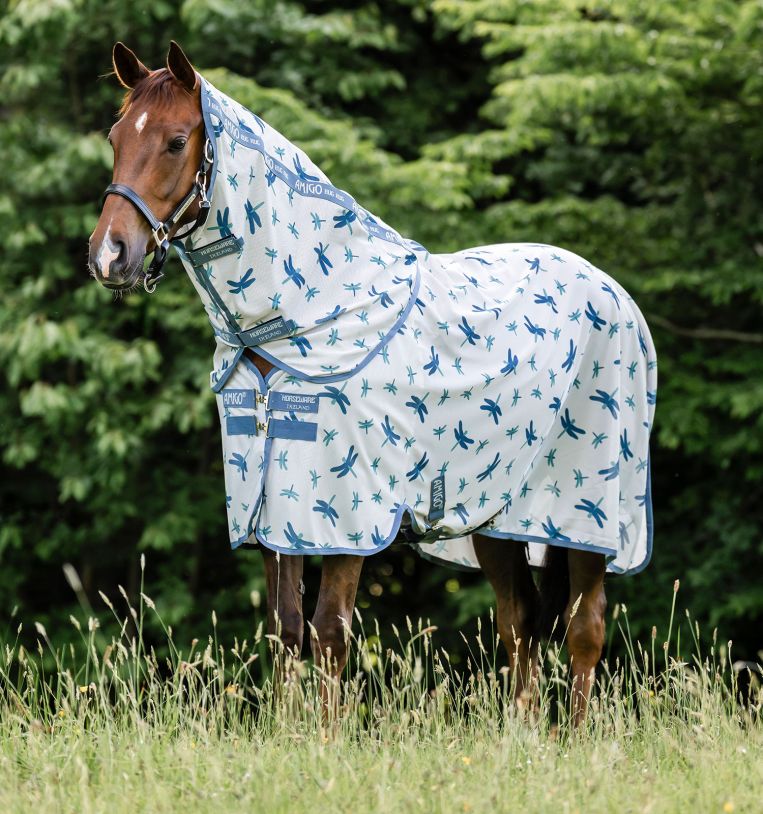 Horse wearing Amigo Bug Rug Plus Fly Sheet in dragonfly pattern standing in grassy field
