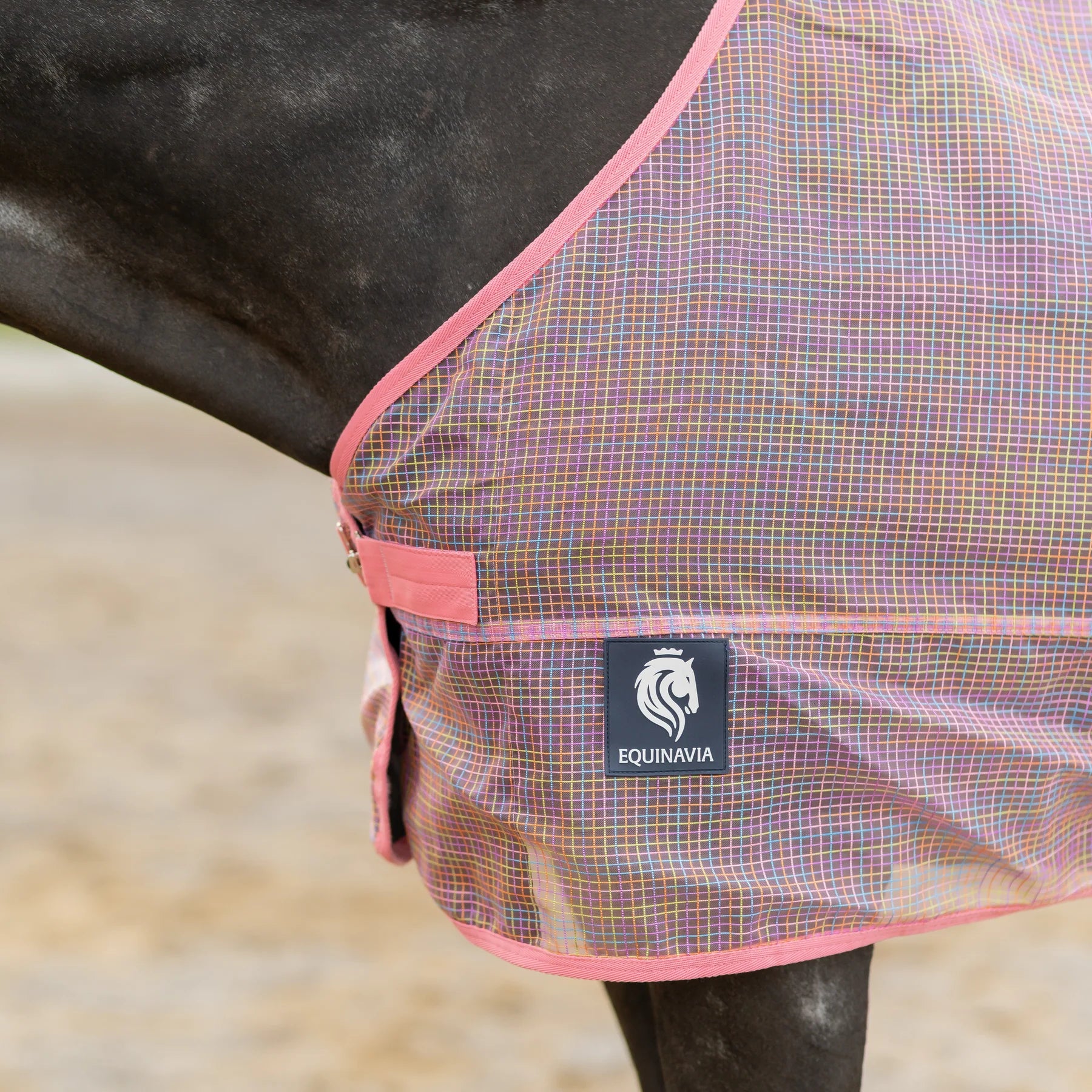 Side closeup view of a horse wearing Pink/Rainbow Equinavia Lykke Fly Sheet
