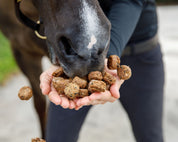 View of someone feeding a handful of Equine Elixirs Tidbits to a dark colored horse