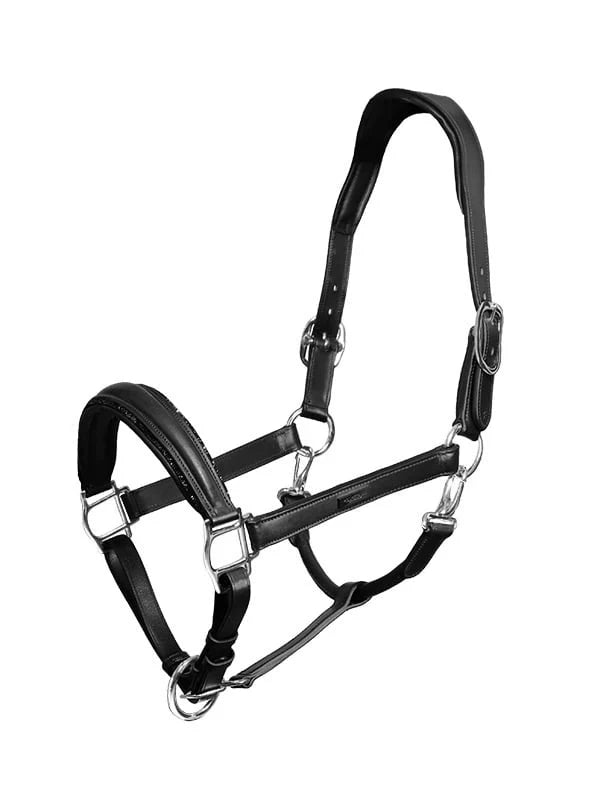 Angled front view of the black Equestrian Stockholm Glimmer Anatomic Leather Halter on a white background
