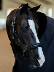 Angled front view of a dark colored horse wearing the black Equestrian Stockholm Glimmer Anatomic Leather Halter