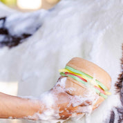 View of someone bathing a paint horse with a soapy Blue Ribbon Burger Bath Sponge