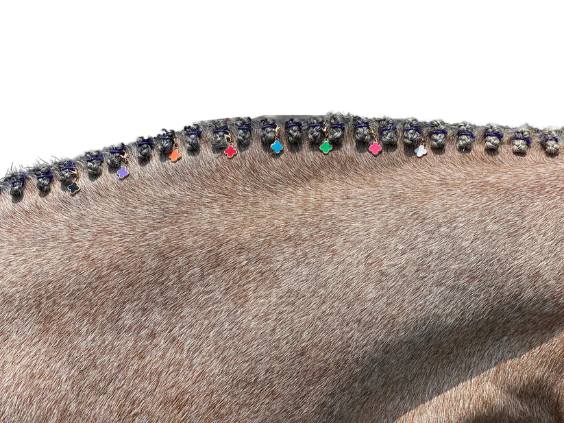 Side view of a roan horse's braided mane with various colored clover Dubois Cheval Braid Charms