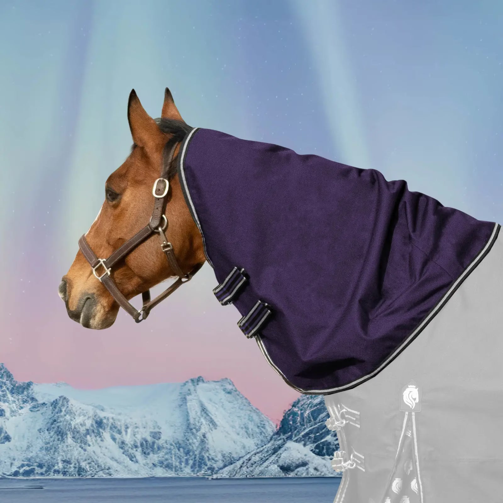 Side view of a bay horse wearing the purple Equinavia Norse Turnout Hood 0g with an arctic background