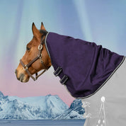 Side view of a bay horse wearing the purple Equinavia Norse Turnout Hood 0g with an arctic background