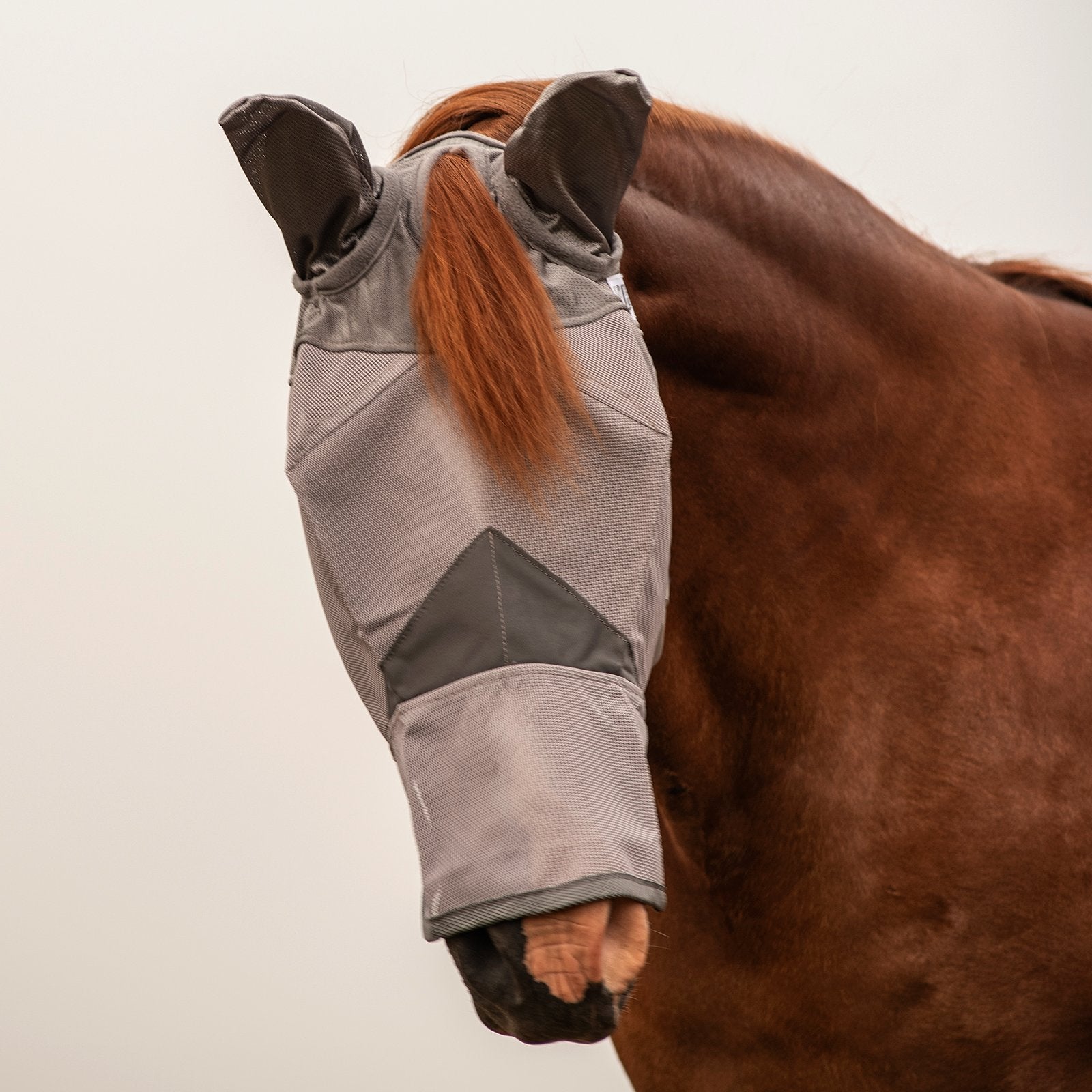 Front view of a chestnut horse wearing the gray arabian Cashel Crusader Fly Mask with Long Nose and Ears on a plain background