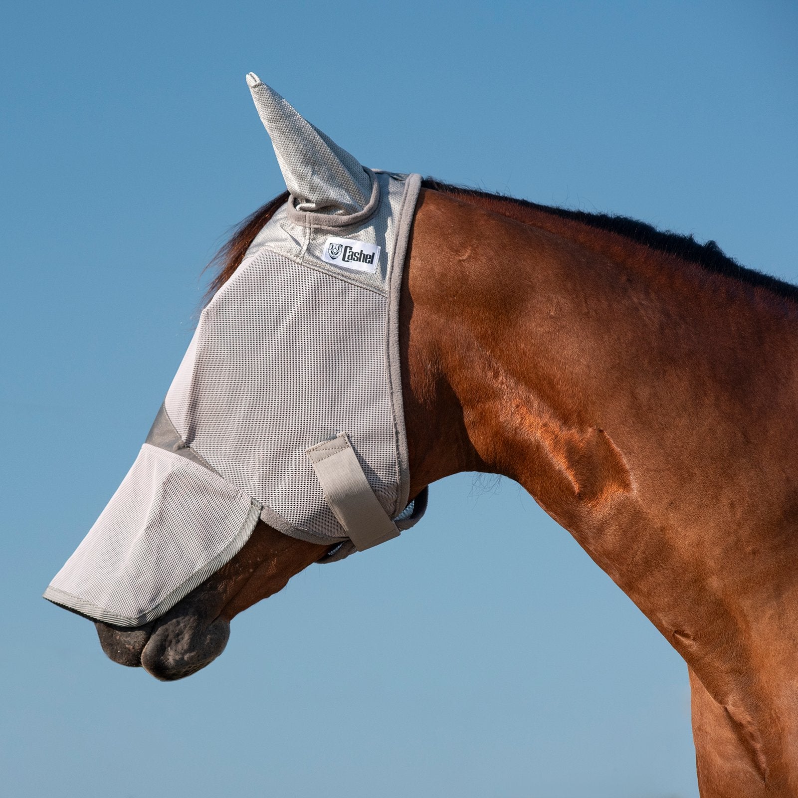 Side view of a bay horse wearing the gray horse sized Cashel Crusader Fly Mask with Long Nose and Ears on a blue sky background